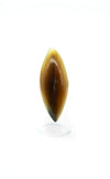 Bague corne griffe unie MELAKY
